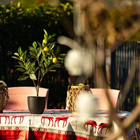 Piano Terra Con Giardino Privato Appartement